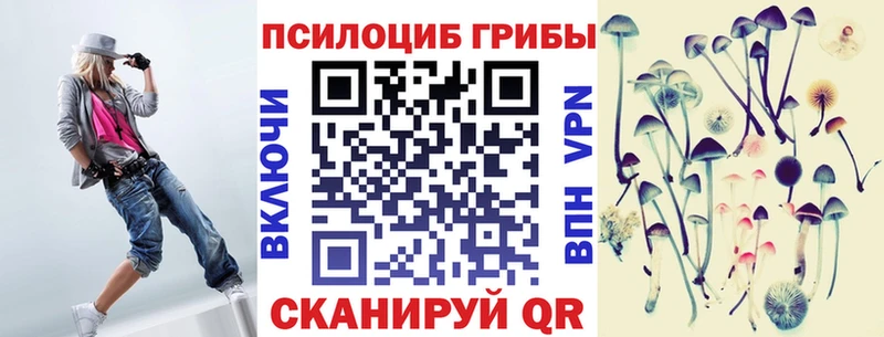 кракен онион Оха Галлюциногенные грибы Psilocybe